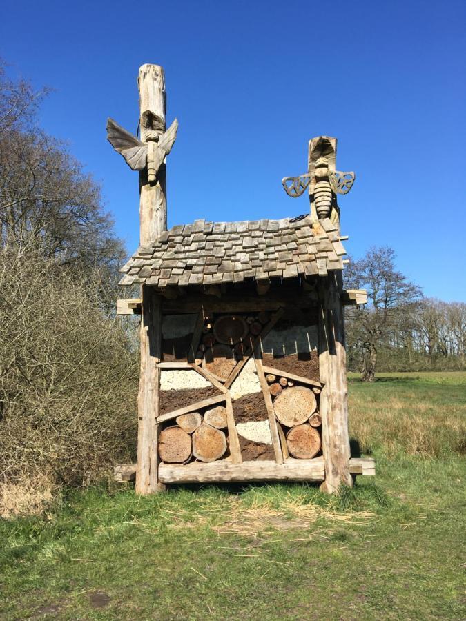 Boerderij 3* Orvelte