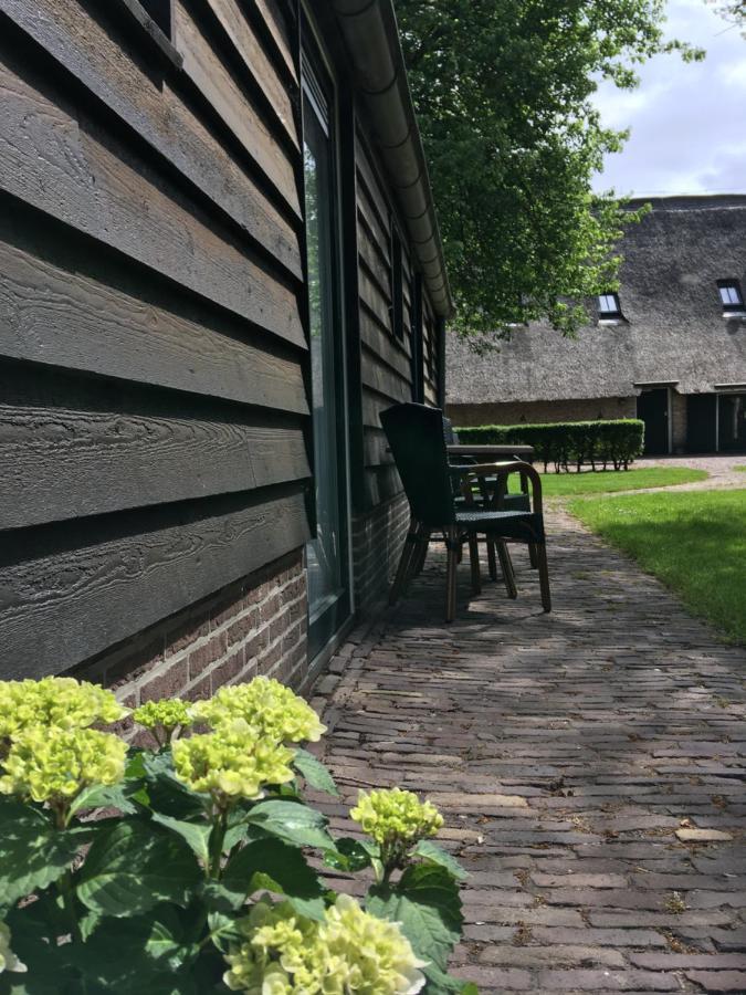 Boerderij 3* Orvelte